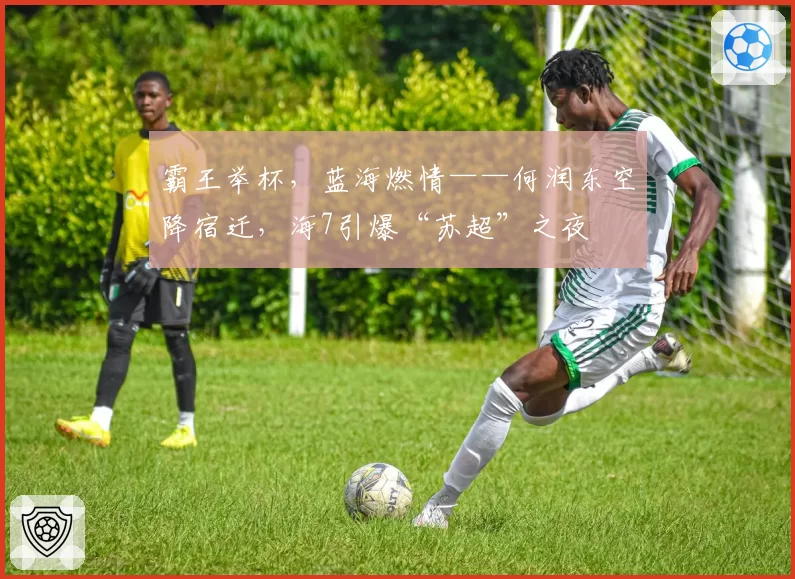 霸王举杯，蓝海燃情——何润东空降宿迁，海7引爆“苏超”之夜