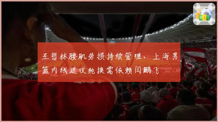 王哲林腰肌劳损持续管理,上海男篮内线进攻轮换需依赖闫鹏飞
