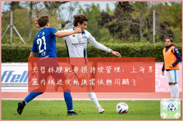 王哲林腰肌劳损持续管理,上海男篮内线进攻轮换需依赖闫鹏飞
