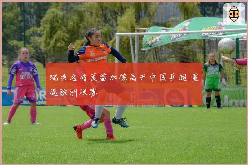 瑞典名将莫雷加德离开中国乒超 重返欧洲联赛